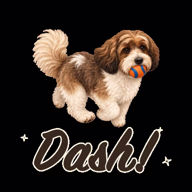 Dash!